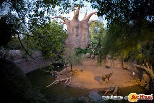 Baobab, árbol central dónde se realizan una representacíión y muestra de los animales que habitan en Bioparc