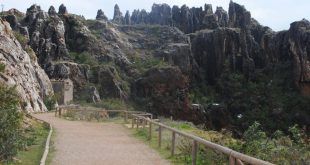 excursiones y salidas en familia