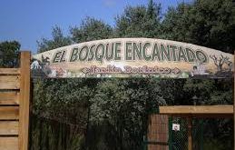 un jardín de cuento de hadas