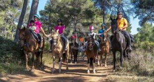 Disfrutar en familia de la mano de Sendero Sur Aventura de Rutas a Caballo por parajes naturales en la zona de Antequera