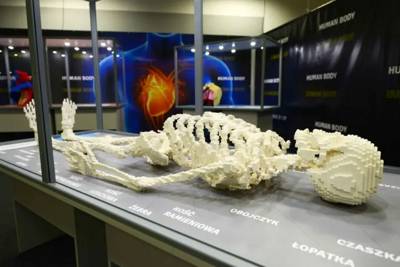 Conocer el cuerpo humano para grandes y pequeños con las reproducciones con piezas de LEGO