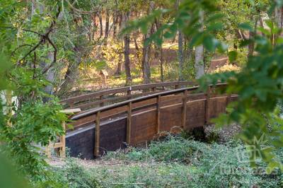 Puente por la vereda del arroyo en Senda Mágica