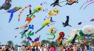 Exhibición de vuelo de cometas por profesionales nacionales e internacionales