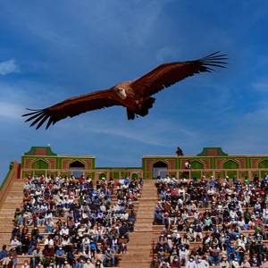 El apasionante mundo de la Cetrería en el Puy du Fou en Toledo.